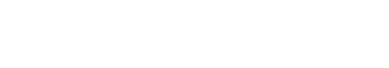 Parmer Development