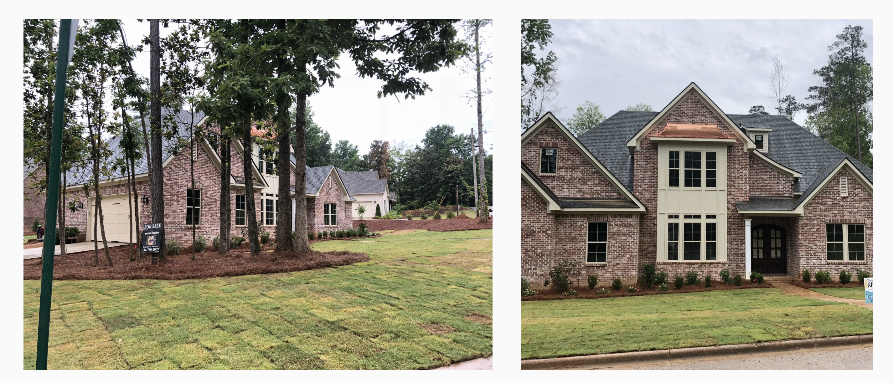 Hollytree Homes